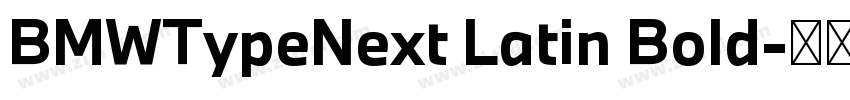BMWTypeNext Latin Bold字体转换